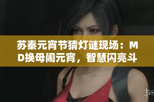 蘇秦元宵節(jié)猜燈謎現(xiàn)場：MD換母鬧元宵，智慧閃亮斗燈謎