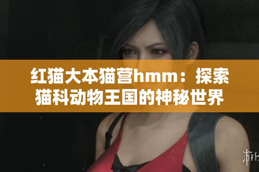 紅貓大本貓營(yíng)hmm：探索貓科動(dòng)物王國(guó)的神秘世界