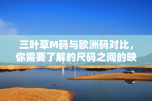 三葉草M碼與歐洲碼對比，你需要了解的尺碼之間的映射