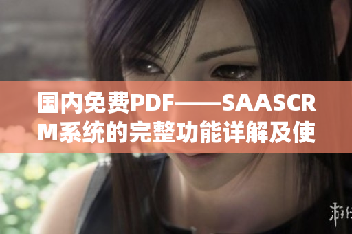國內(nèi)免費PDF——SAASCRM系統(tǒng)的完整功能詳解及使用指南
