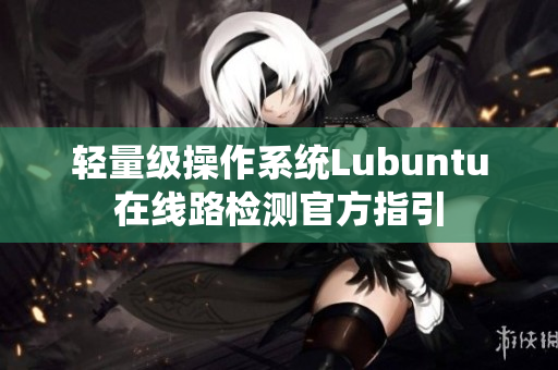 輕量級操作系統(tǒng)Lubuntu在線路檢測官方指引