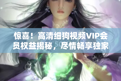 驚喜！高清細狗視頻VIP會員權益揭秘，盡情暢享獨家精彩內容！