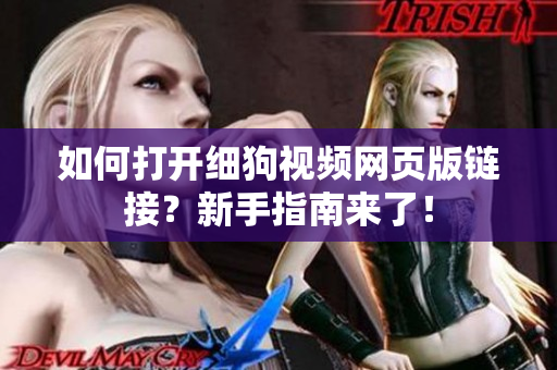 如何打開細(xì)狗視頻網(wǎng)頁版鏈接？新手指南來了！