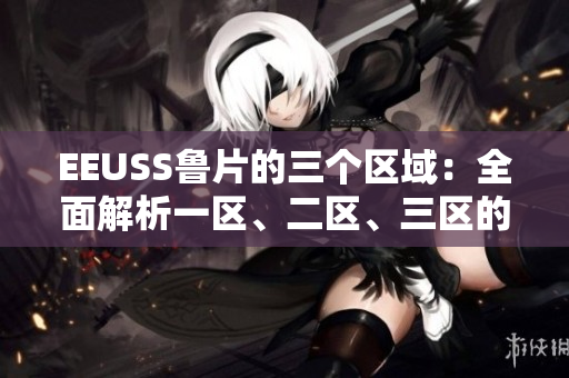 EEUSS魯片的三個(gè)區(qū)域：全面解析一區(qū)、二區(qū)、三區(qū)的特色與魅力