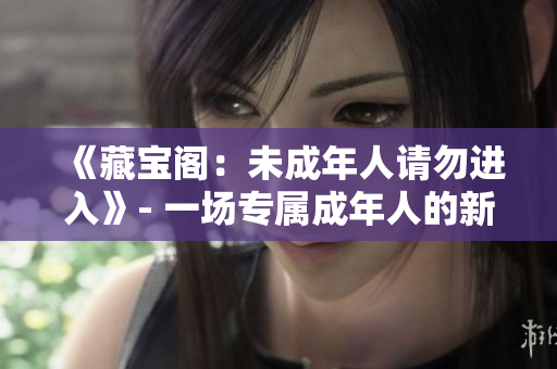 《藏寶閣：未成年人請(qǐng)勿進(jìn)入》- 一場(chǎng)專屬成年人的新奇冒險(xiǎn)!