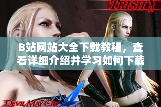 B站網(wǎng)站大全下載教程，查看詳細介紹并學習如何下載B站上的視頻、音樂和圖片