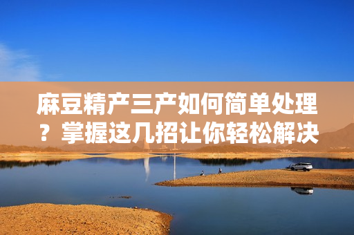 麻豆精產(chǎn)三產(chǎn)如何簡單處理？掌握這幾招讓你輕松解決！