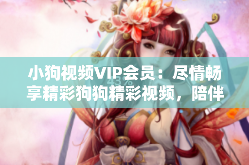 小狗視頻VIP會員：盡情暢享精彩狗狗精彩視頻，陪伴您的生活時刻