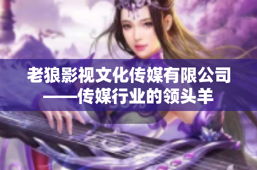 老狼影視文化傳媒有限公司——傳媒行業(yè)的領(lǐng)頭羊