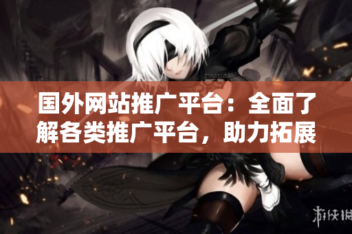 國(guó)外網(wǎng)站推廣平臺(tái)：全面了解各類推廣平臺(tái)，助力拓展海外市場(chǎng)