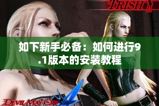 如下新手必備：如何進行9.1版本的安裝教程