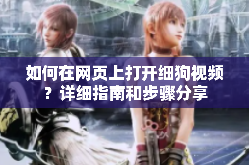 如何在網(wǎng)頁上打開細(xì)狗視頻？詳細(xì)指南和步驟分享