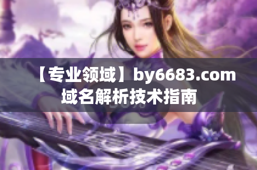 【專業(yè)領(lǐng)域】by6683.com域名解析技術(shù)指南