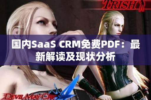 國內(nèi)SaaS CRM免費PDF：最新解讀及現(xiàn)狀分析