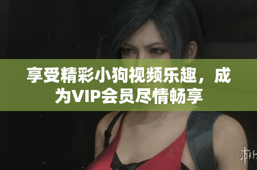 享受精彩小狗視頻樂(lè)趣，成為VIP會(huì)員盡情暢享