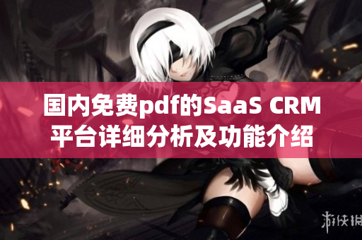 國內(nèi)免費(fèi)pdf的SaaS CRM平臺詳細(xì)分析及功能介紹