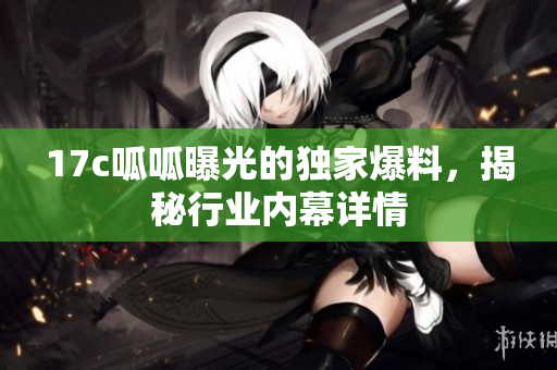 17c呱呱曝光的獨(dú)家爆料，揭秘行業(yè)內(nèi)幕詳情