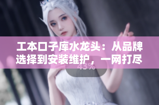 工本口子庫水龍頭：從品牌選擇到安裝維護，一網(wǎng)打盡