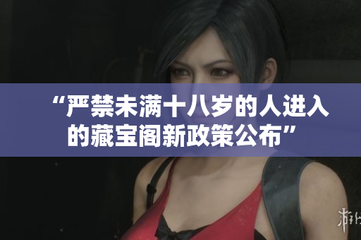 “嚴禁未滿十八歲的人進入的藏寶閣新政策公布”