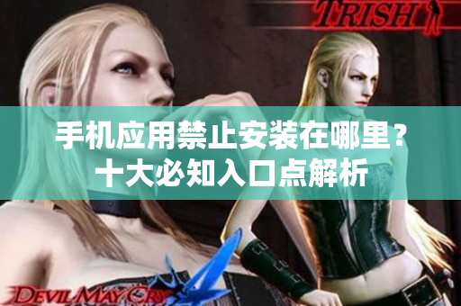 手機應用禁止安裝在哪里？十大必知入口點解析