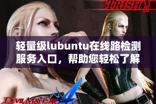 輕量級lubuntu在線路檢測服務(wù)入口，幫助您輕松了解網(wǎng)絡(luò)連接狀態(tài)
