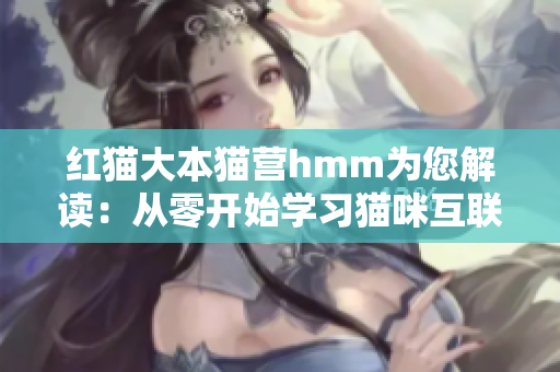紅貓大本貓營hmm為您解讀：從零開始學(xué)習(xí)貓咪互聯(lián)網(wǎng)營銷經(jīng)驗