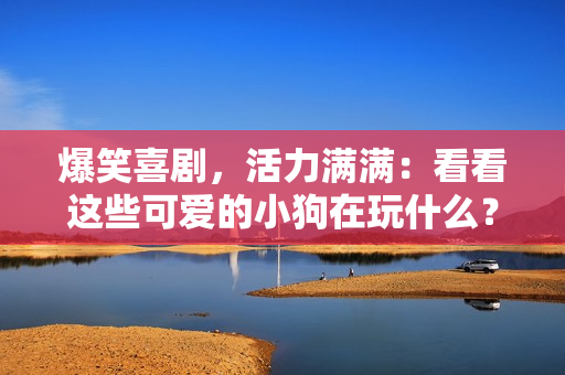 爆笑喜劇，活力滿滿：看看這些可愛的小狗在玩什么？