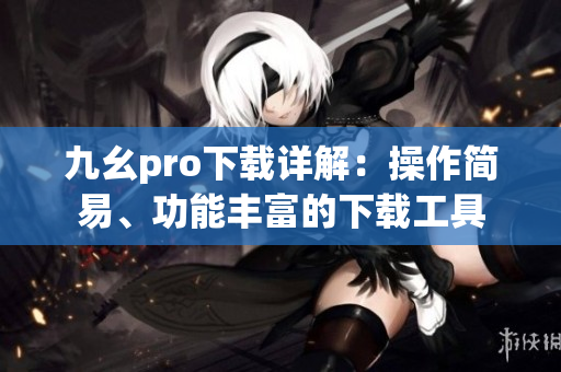 九幺pro下載詳解：操作簡易、功能豐富的下載工具