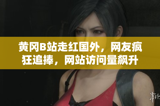 黃岡B站走紅國(guó)外，網(wǎng)友瘋狂追捧，網(wǎng)站訪問量飆升
