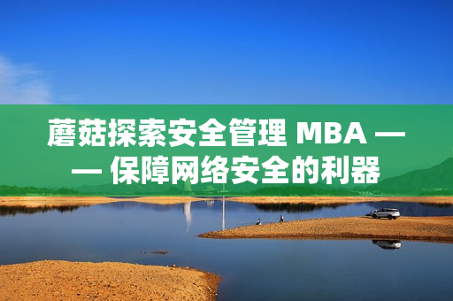 蘑菇探索安全管理 MBA —— 保障網絡安全的利器