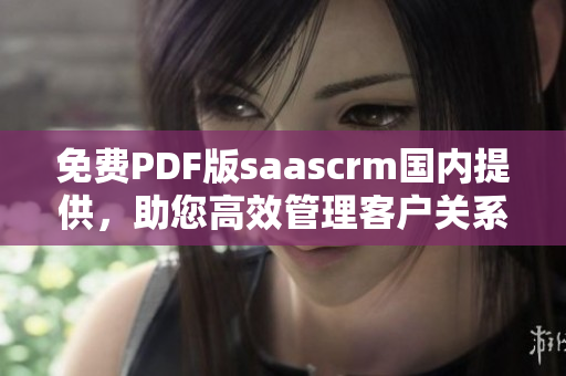 免費(fèi)PDF版saascrm國內(nèi)提供，助您高效管理客戶關(guān)系