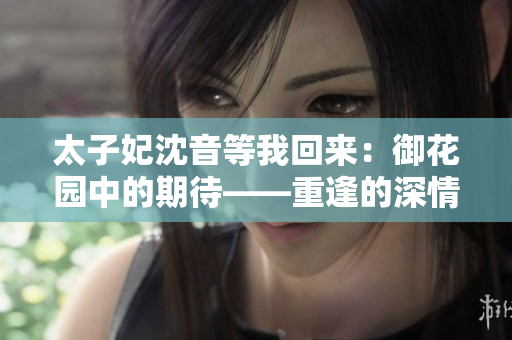 太子妃沈音等我回來：御花園中的期待——重逢的深情等候