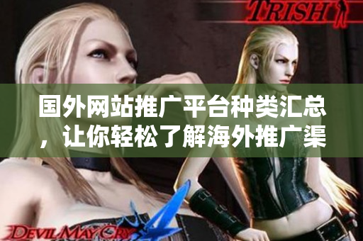 國外網(wǎng)站推廣平臺種類匯總，讓你輕松了解海外推廣渠道