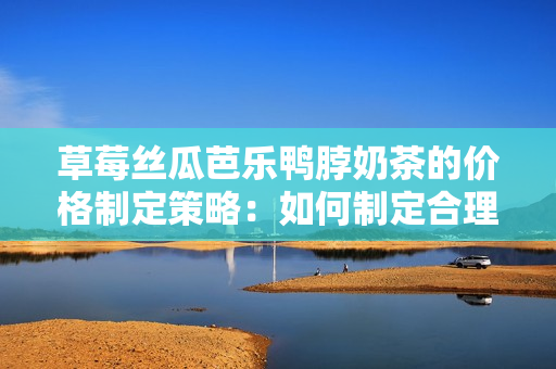草莓絲瓜芭樂(lè)鴨脖奶茶的價(jià)格制定策略：如何制定合理的定價(jià)策略？