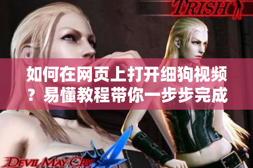 如何在網(wǎng)頁(yè)上打開細(xì)狗視頻？易懂教程帶你一步步完成