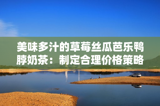 美味多汁的草莓絲瓜芭樂鴨脖奶茶：制定合理價(jià)格策略，滿足不同消費(fèi)者需求