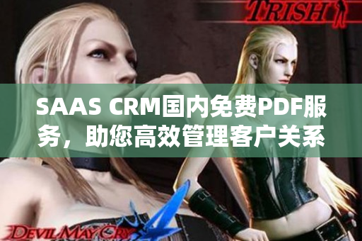 SAAS CRM國內(nèi)免費(fèi)PDF服務(wù)，助您高效管理客戶關(guān)系
