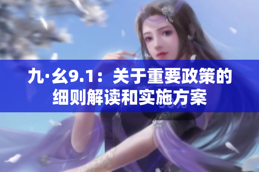 九·幺9.1：關(guān)于重要政策的細(xì)則解讀和實(shí)施方案