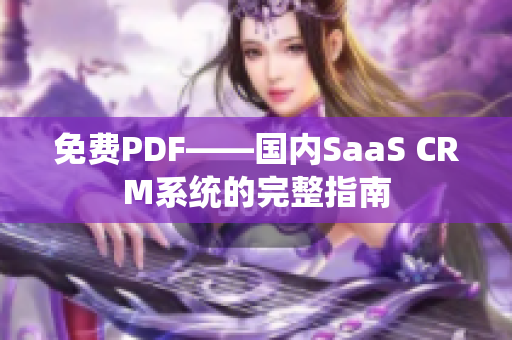 免費(fèi)PDF——國(guó)內(nèi)SaaS CRM系統(tǒng)的完整指南