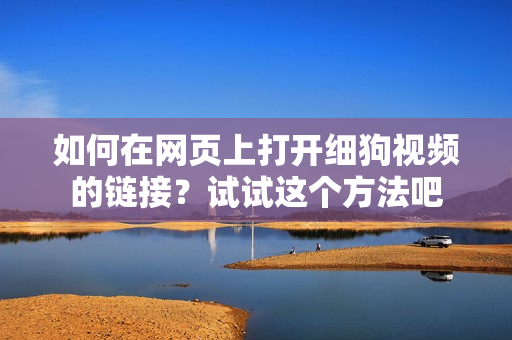 如何在網(wǎng)頁上打開細(xì)狗視頻的鏈接？試試這個方法吧