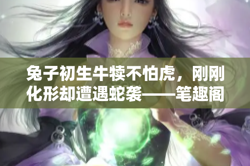 兔子初生牛犢不怕虎，剛剛化形卻遭遇蛇襲——筆趣閣揭秘故事