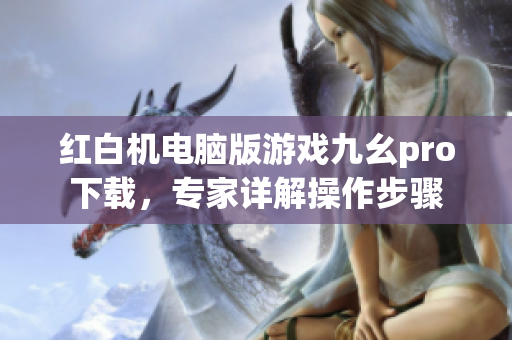 紅白機(jī)電腦版游戲九幺pro下載，專(zhuān)家詳解操作步驟