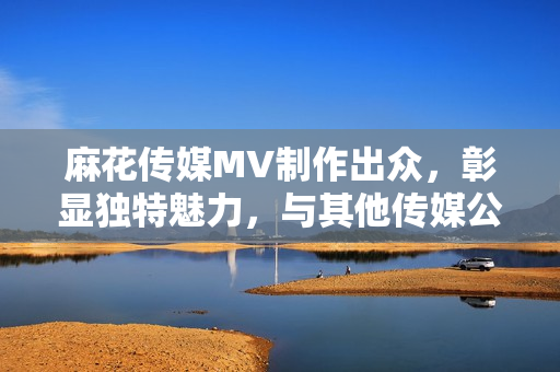 麻花傳媒MV制作出眾，彰顯獨特魅力，與其他傳媒公司相比，迎刃有余
