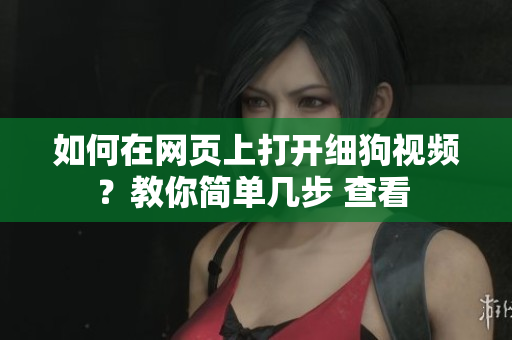 如何在網(wǎng)頁上打開細(xì)狗視頻？教你簡單幾步 查看 